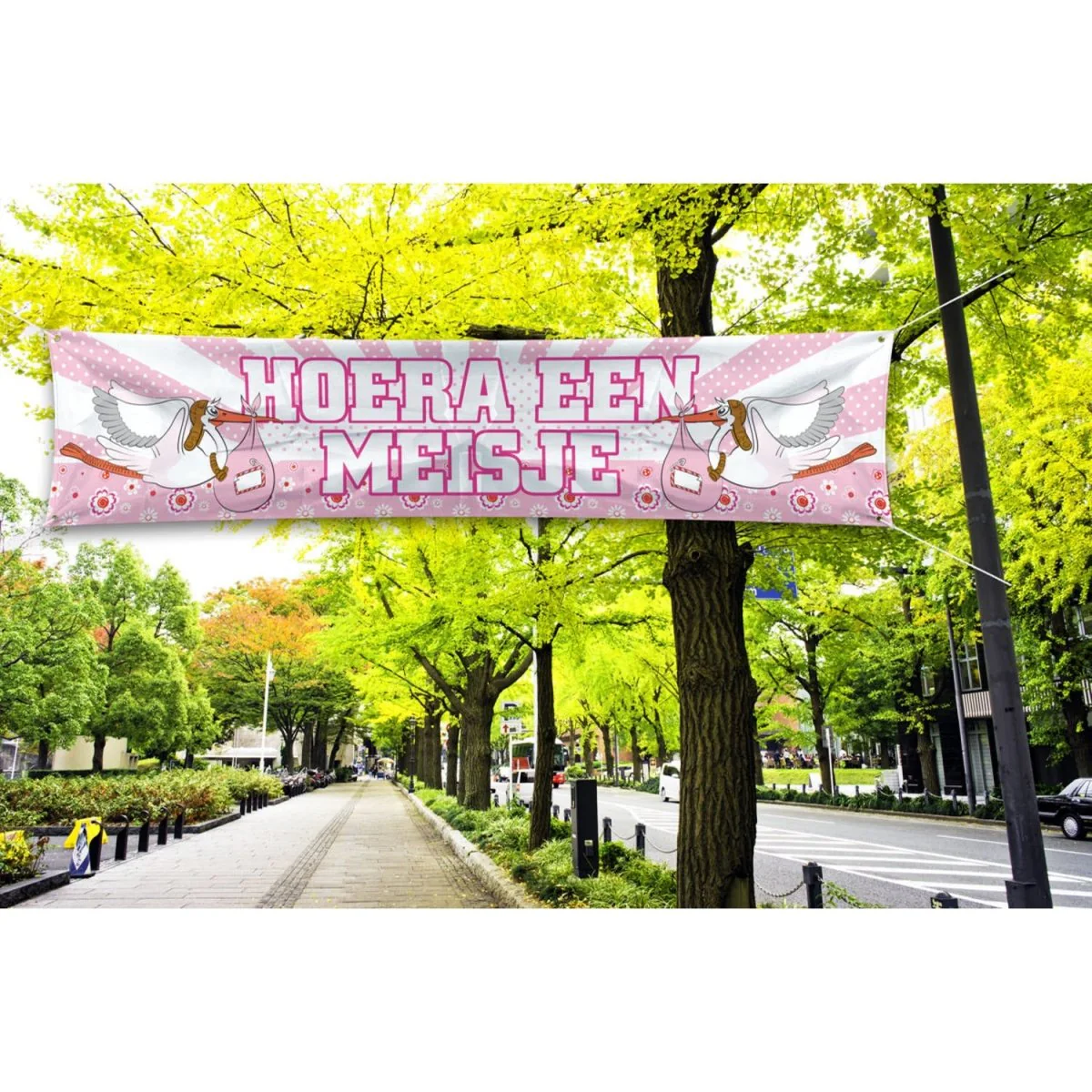 Productafbeelding 3