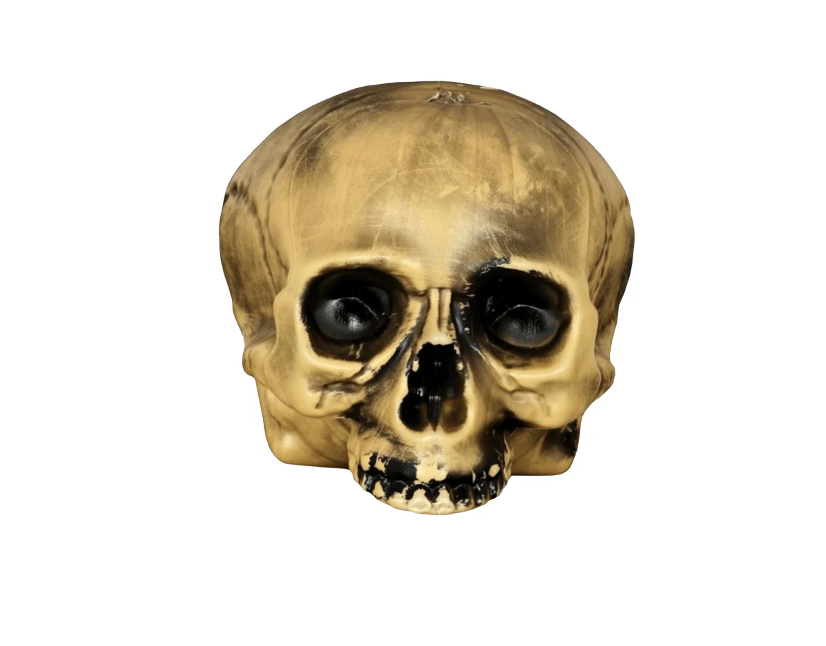 Miniatuur 1