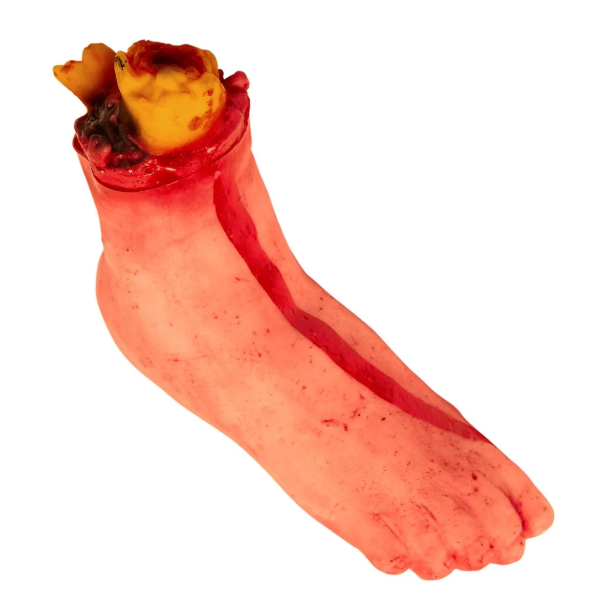 Miniatuur 1